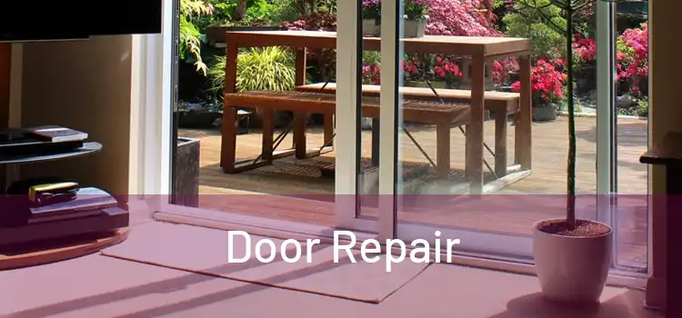 Door Repair